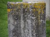 image of grave number 816614